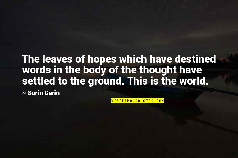 Funny Seltzer Quotes By Sorin Cerin: The leaves of hopes which have destined words