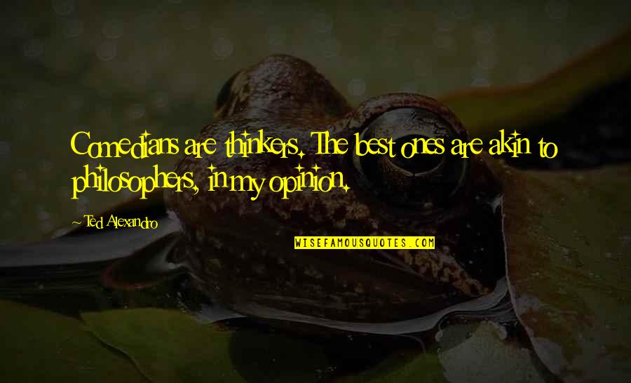 Funny Shopping Bargain Quotes By Ted Alexandro: Comedians are thinkers. The best ones are akin