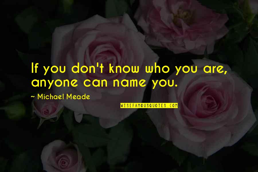 Funny Shortcut Quotes By Michael Meade: If you don't know who you are, anyone