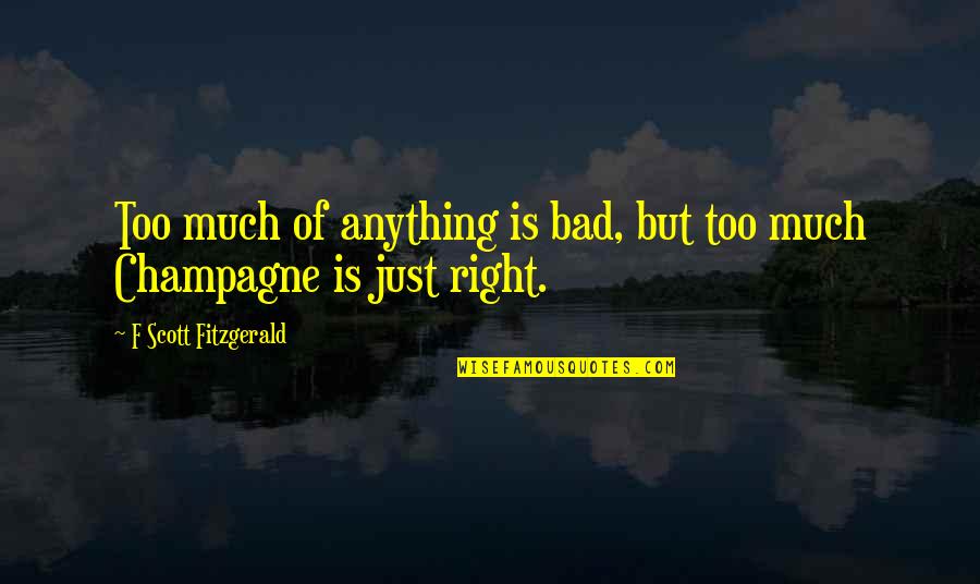 Funny Single Because Quotes By F Scott Fitzgerald: Too much of anything is bad, but too