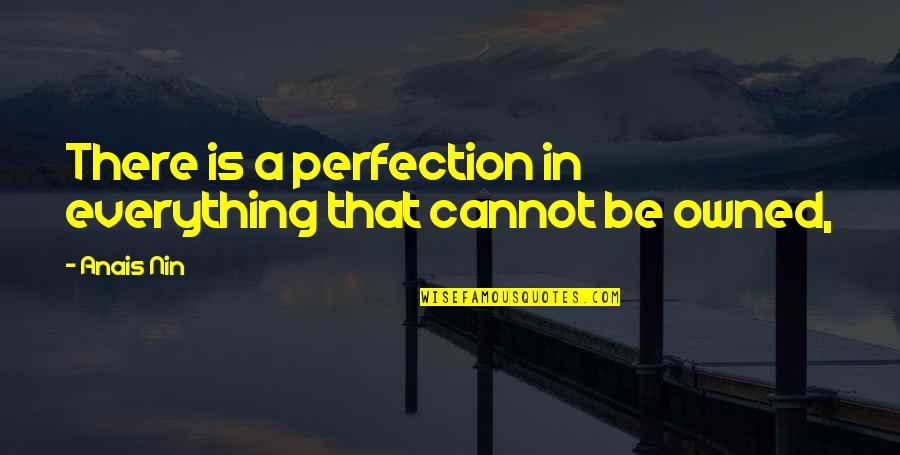 Funny Skillet Quotes By Anais Nin: There is a perfection in everything that cannot