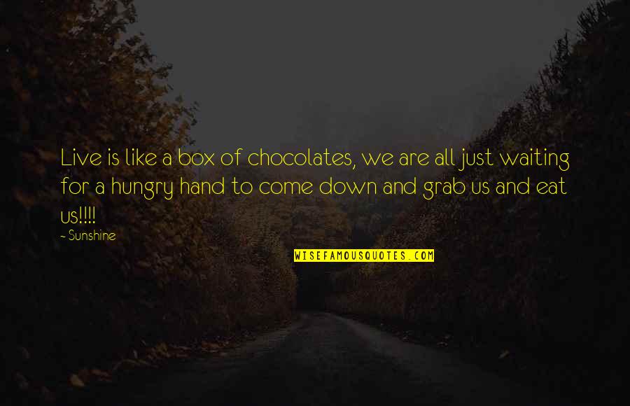 Funny Sneeze Quotes By Sunshine: Live is like a box of chocolates, we