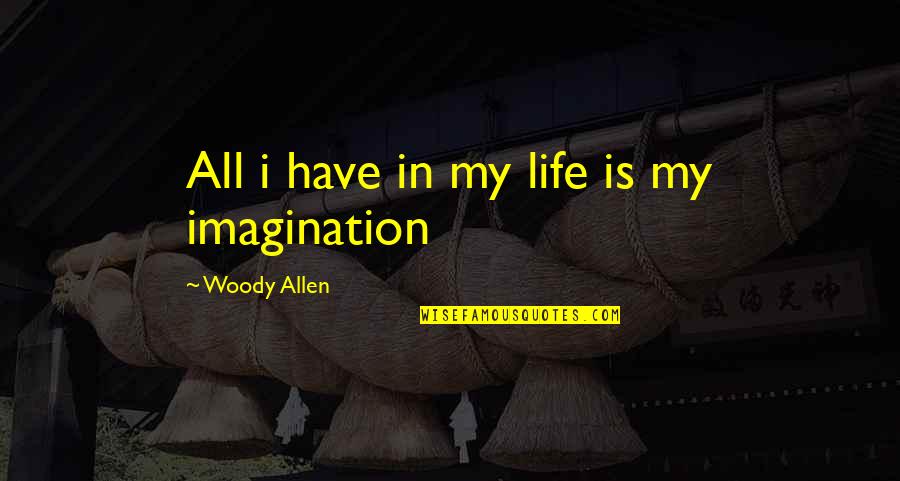 Funny Sonography Quotes By Woody Allen: All i have in my life is my