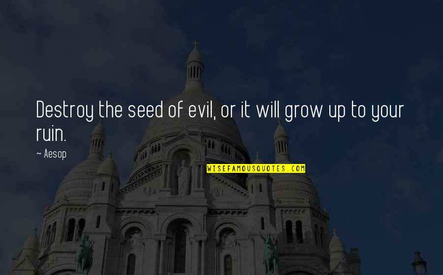 Funny Soul Quotes By Aesop: Destroy the seed of evil, or it will