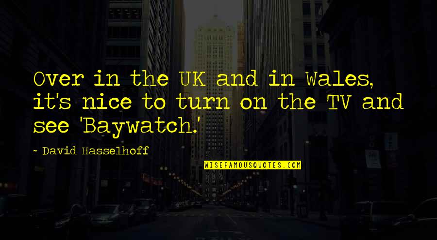 Funny Southerner Quotes By David Hasselhoff: Over in the UK and in Wales, it's