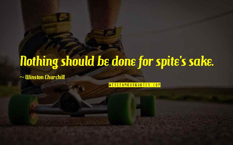 Funny Spider Webs Quotes By Winston Churchill: Nothing should be done for spite's sake.