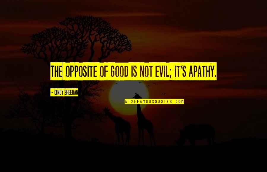 Funny Sports Captain Quotes By Cindy Sheehan: The opposite of good is not evil; it's