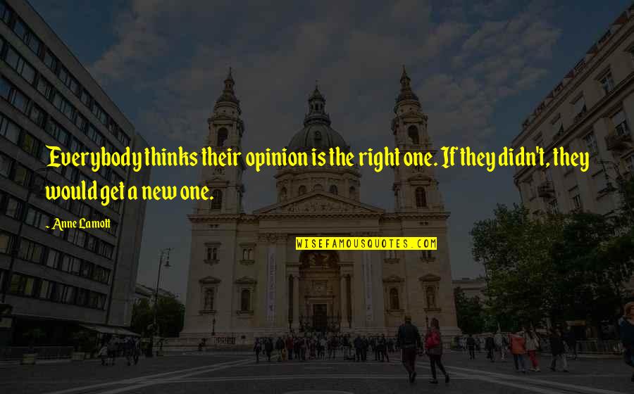 Funny Sprinkle Quotes By Anne Lamott: Everybody thinks their opinion is the right one.