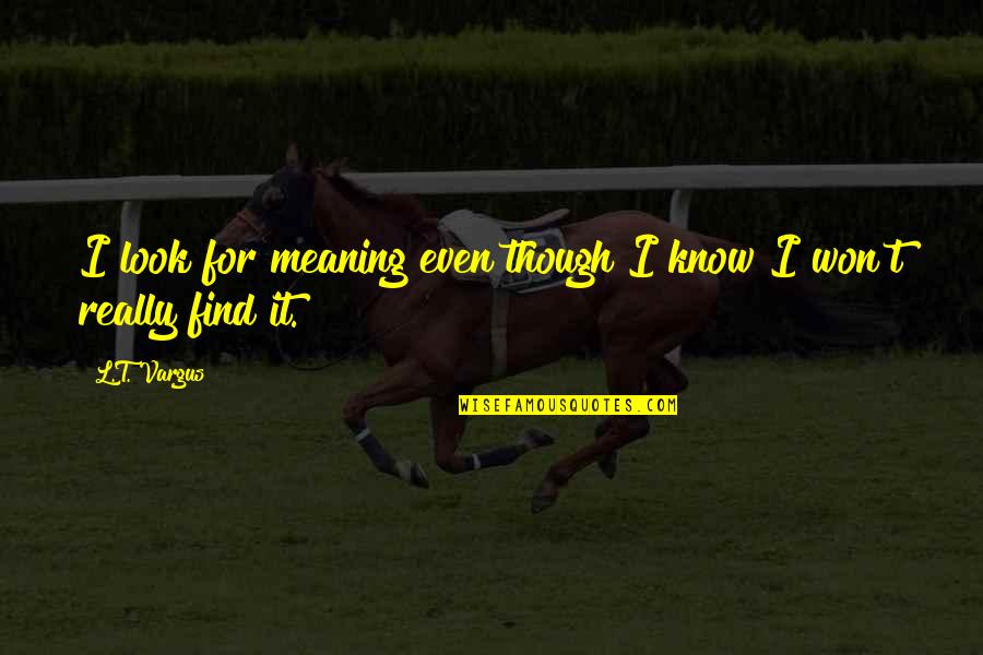 Funny Stampede Quotes By L.T. Vargus: I look for meaning even though I know