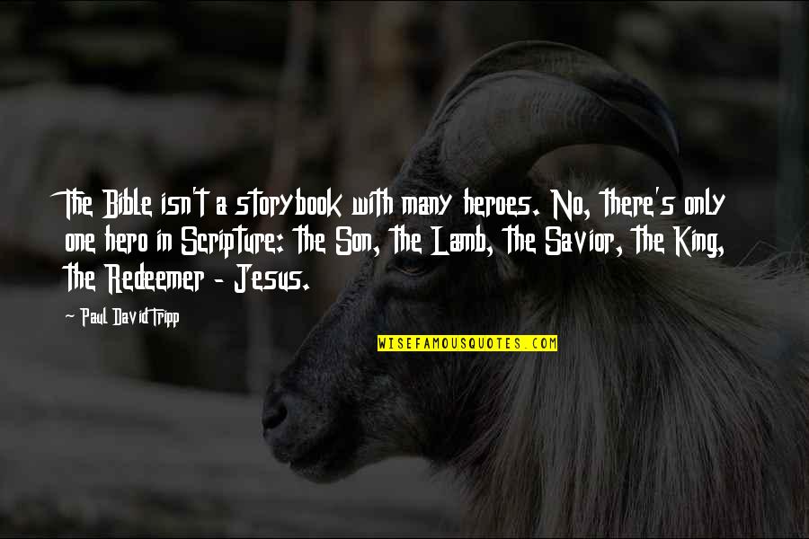 Funny State Farm Quotes By Paul David Tripp: The Bible isn't a storybook with many heroes.