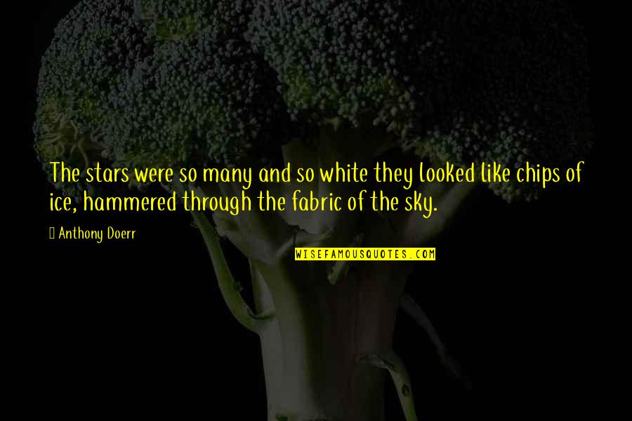 Funny Stethoscope Quotes By Anthony Doerr: The stars were so many and so white