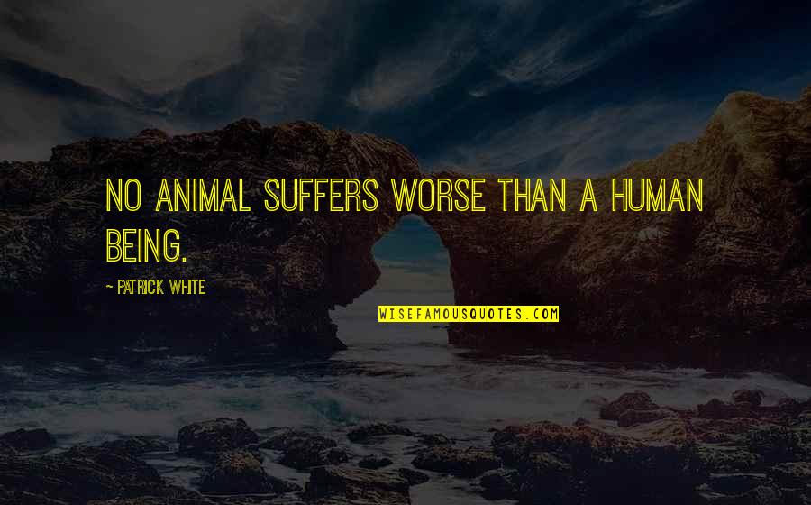 Funny Steve Austin Quotes By Patrick White: No animal suffers worse than a human being.
