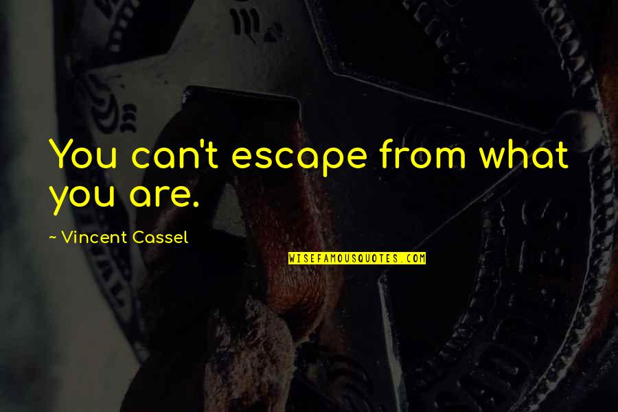 Funny Stickmen Quotes By Vincent Cassel: You can't escape from what you are.