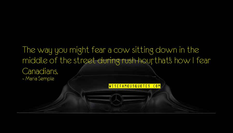 Funny Street Quotes By Maria Semple: The way you might fear a cow sitting