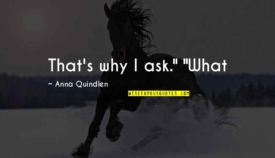 Funny Student Affairs Quotes By Anna Quindlen: That's why I ask." "What Funny Student Affairs Quotes By Anna Quindlen: That's why I ask." "What
