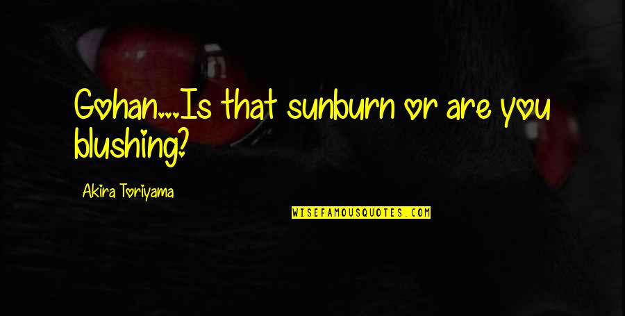 Funny Sunburn Quotes By Akira Toriyama: Gohan...Is that sunburn or are you blushing?
