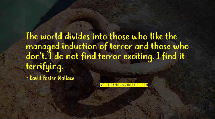 Funny Sunset Quotes By David Foster Wallace: The world divides into those who like the