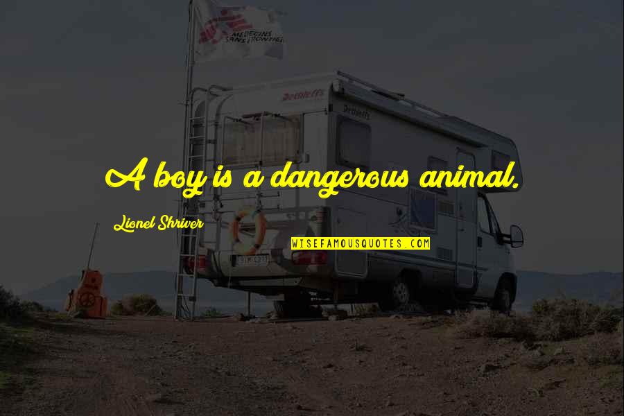 Funny Supermarkets Quotes By Lionel Shriver: A boy is a dangerous animal.