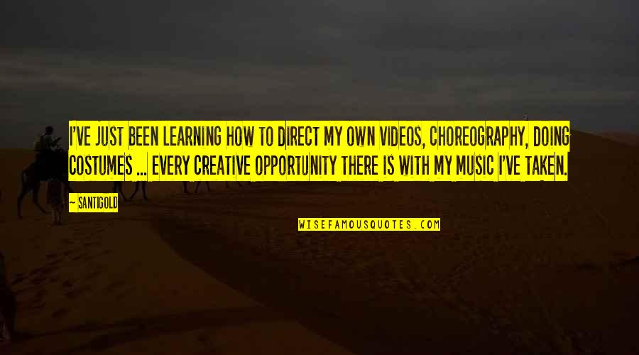 Funny Supervisors Quotes By Santigold: I've just been learning how to direct my