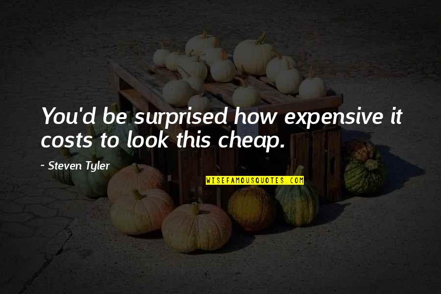 Funny Surprised Quotes By Steven Tyler: You'd be surprised how expensive it costs to