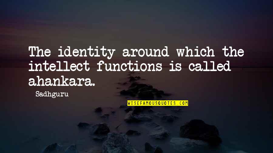 Funny Suspense Quotes By Sadhguru: The identity around which the intellect functions is