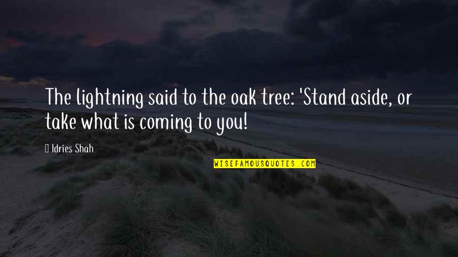 Funny Suspicious Quotes By Idries Shah: The lightning said to the oak tree: 'Stand