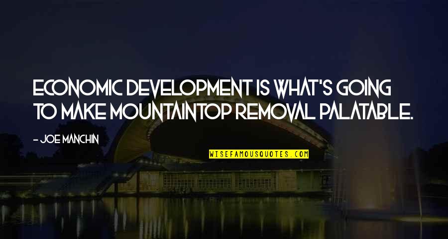 Funny Swimming Pools Quotes By Joe Manchin: Economic development is what's going to make mountaintop