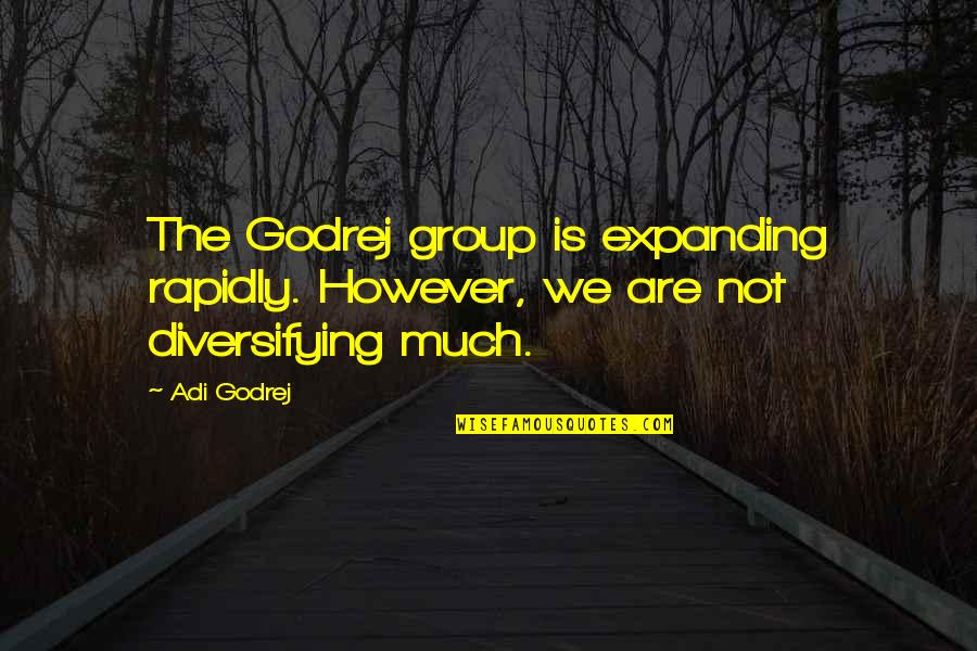 Funny Syndicate Quotes By Adi Godrej: The Godrej group is expanding rapidly. However, we