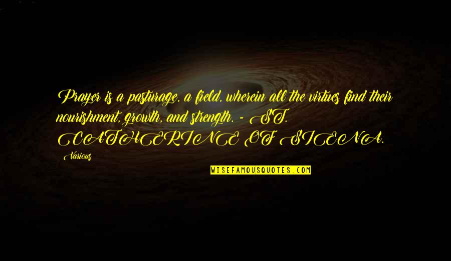 Funny Tagalog Pilosopo Quotes By Various: Prayer is a pasturage, a field, wherein all Funny Tagalog Pilosopo Quotes By Various: Prayer is a pasturage, a field, wherein all