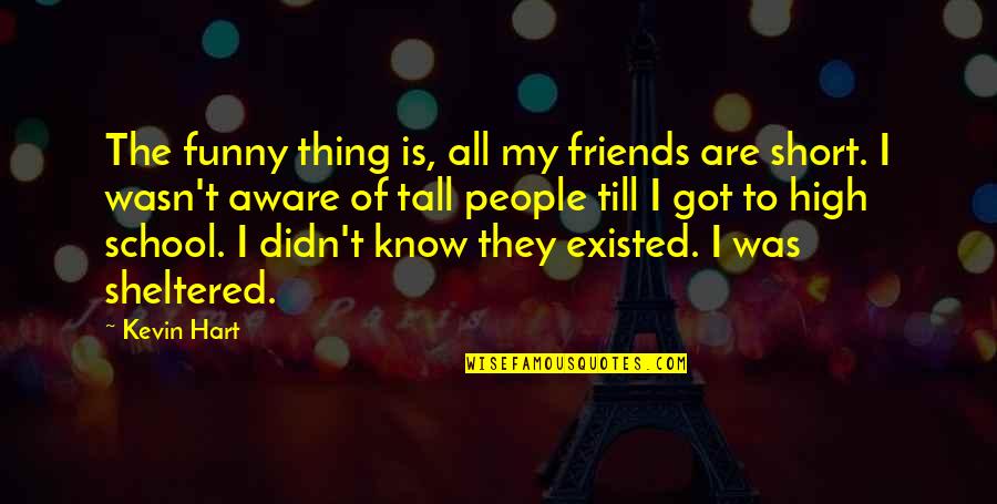 Funny Tall Quotes By Kevin Hart: The funny thing is, all my friends are