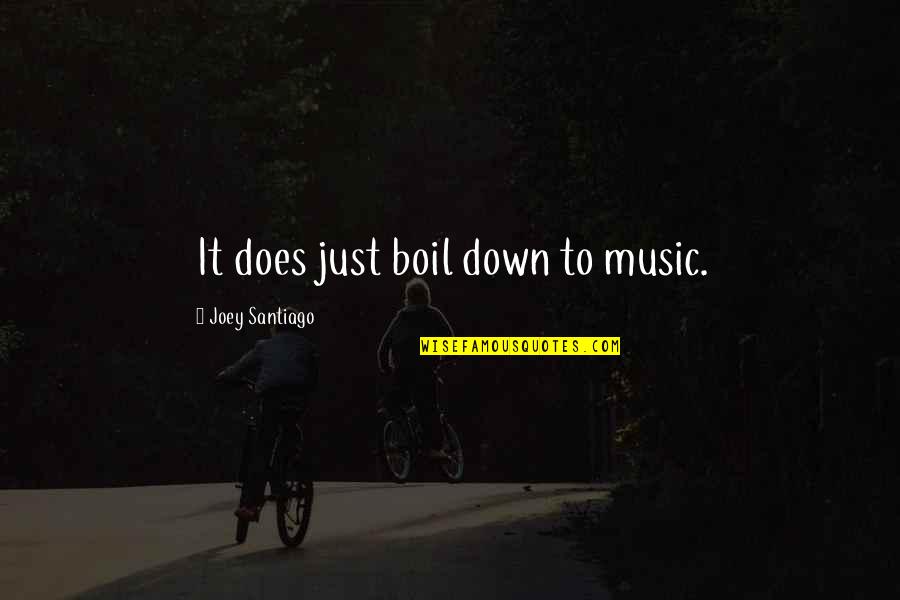 Funny Tampon Quotes By Joey Santiago: It does just boil down to music.