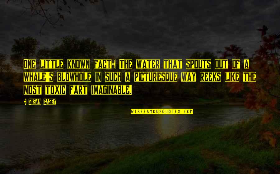 Funny Taunts Quotes By Susan Casey: One little known fact: The water that spouts