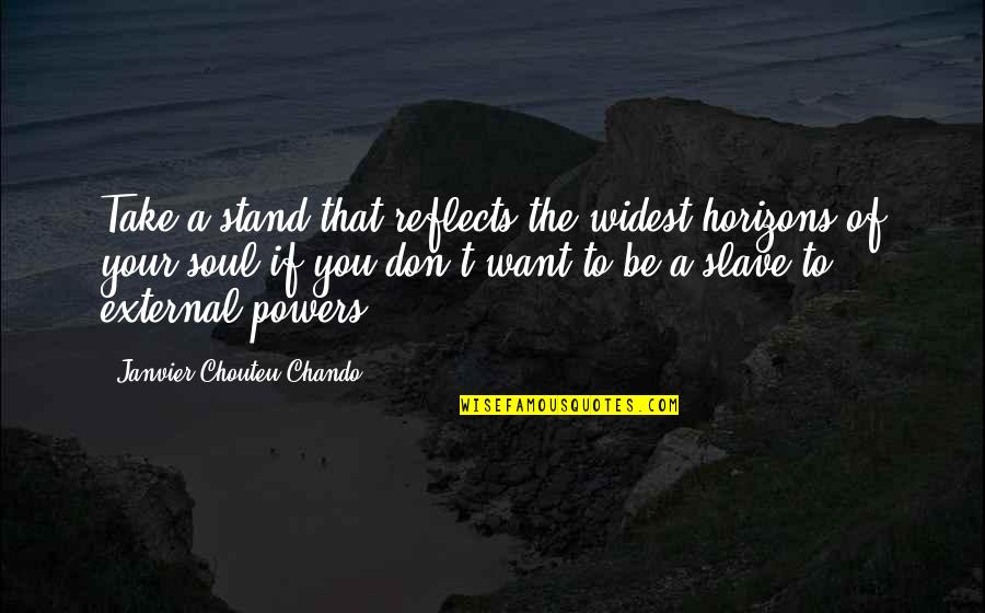 Funny Taxonomy Quotes By Janvier Chouteu-Chando: Take a stand that reflects the widest horizons