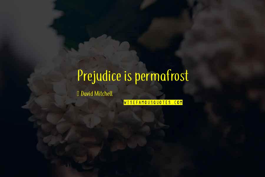 Funny Teacher Quotes By David Mitchell: Prejudice is permafrost