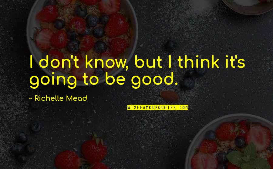 Funny Teletubby Quotes By Richelle Mead: I don't know, but I think it's going
