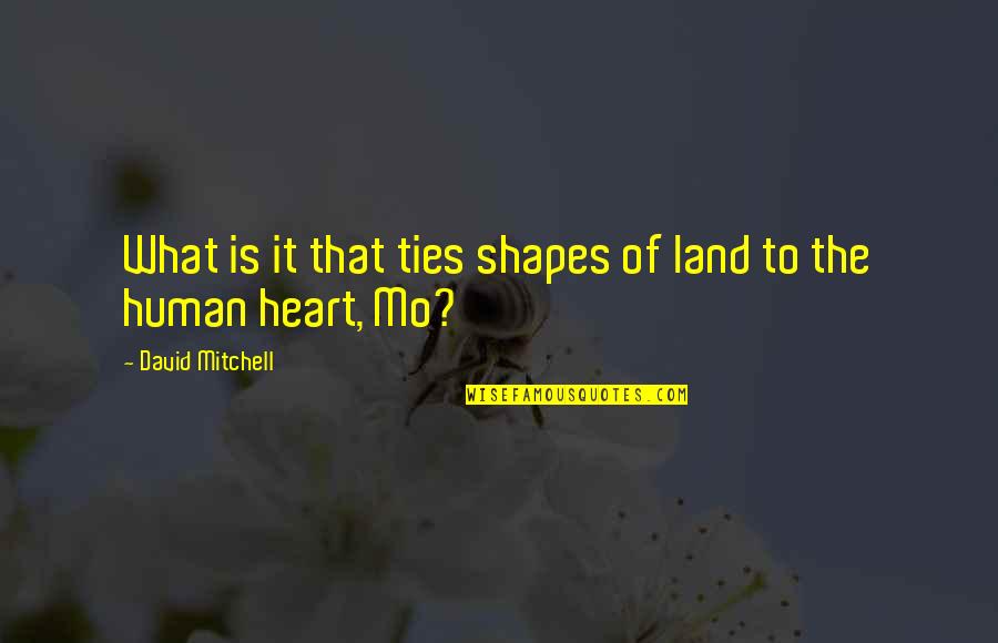 Funny Textbooks Quotes By David Mitchell: What is it that ties shapes of land