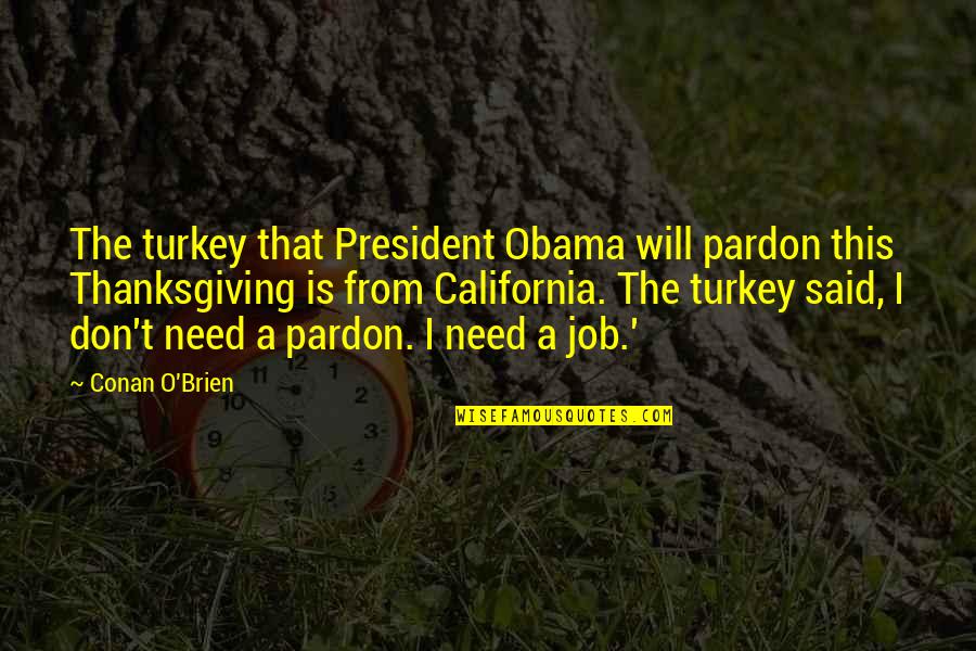 Funny Thanksgiving Turkeys Quotes By Conan O'Brien: The turkey that President Obama will pardon this