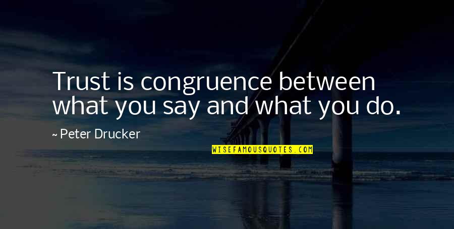 Funny Thermodynamics Quotes By Peter Drucker: Trust is congruence between what you say and