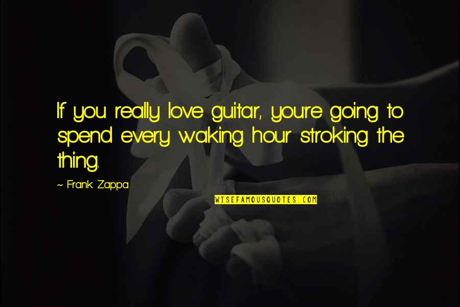 Funny Thing Love Quotes By Frank Zappa: If you really love guitar, you're going to
