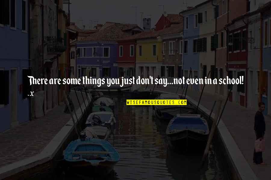 Funny Things Quotes By X: There are some things you just don't say...not