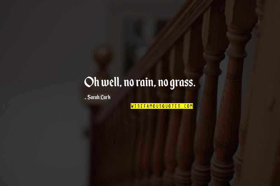 Funny Things Work Out Quotes By Sarah Lark: Oh well, no rain, no grass.
