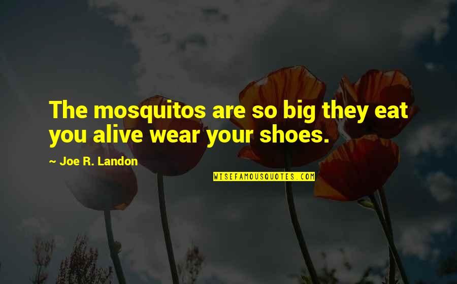 Funny Thots Quotes By Joe R. Landon: The mosquitos are so big they eat you Funny Thots Quotes By Joe R. Landon: The mosquitos are so big they eat you