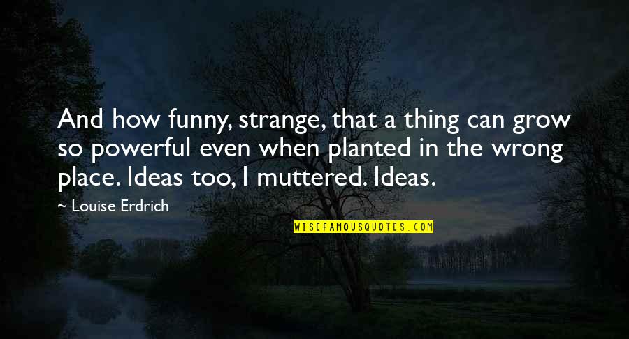 Funny Thoughts Or Quotes By Louise Erdrich: And how funny, strange, that a thing can
