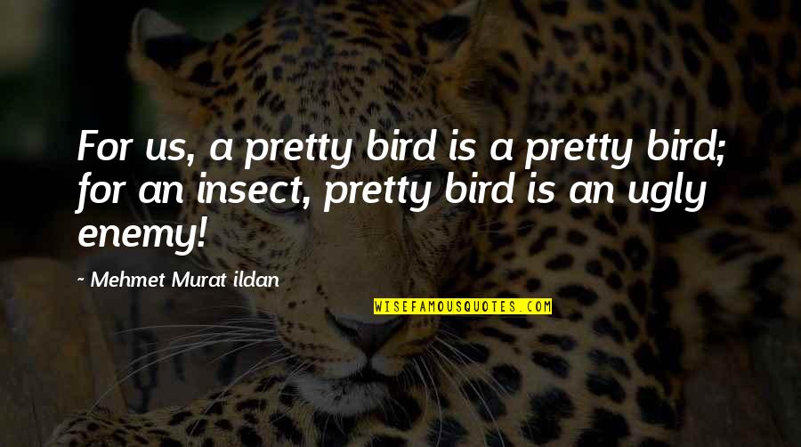 Funny Tick Quotes By Mehmet Murat Ildan: For us, a pretty bird is a pretty