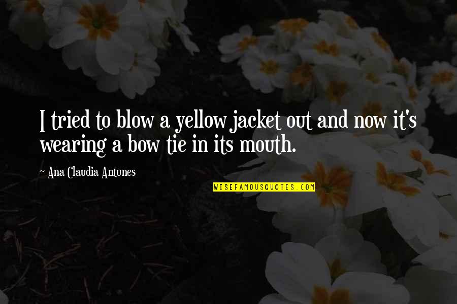 Funny Tie Quotes By Ana Claudia Antunes: I tried to blow a yellow jacket out