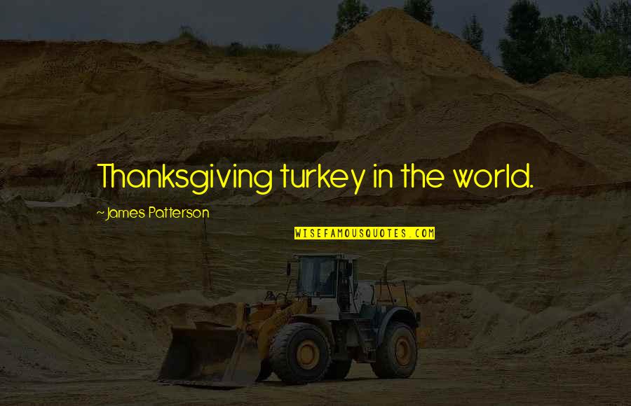 Funny Tile Quotes By James Patterson: Thanksgiving turkey in the world.