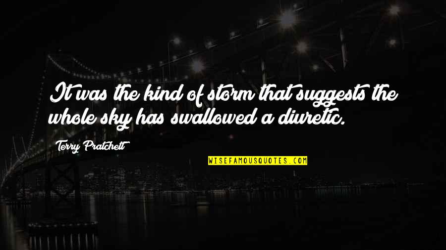 Funny Too Much Rain Quotes By Terry Pratchett: It was the kind of storm that suggests