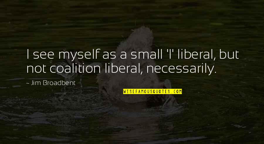 Funny Tote Bags Quotes By Jim Broadbent: I see myself as a small 'l' liberal,