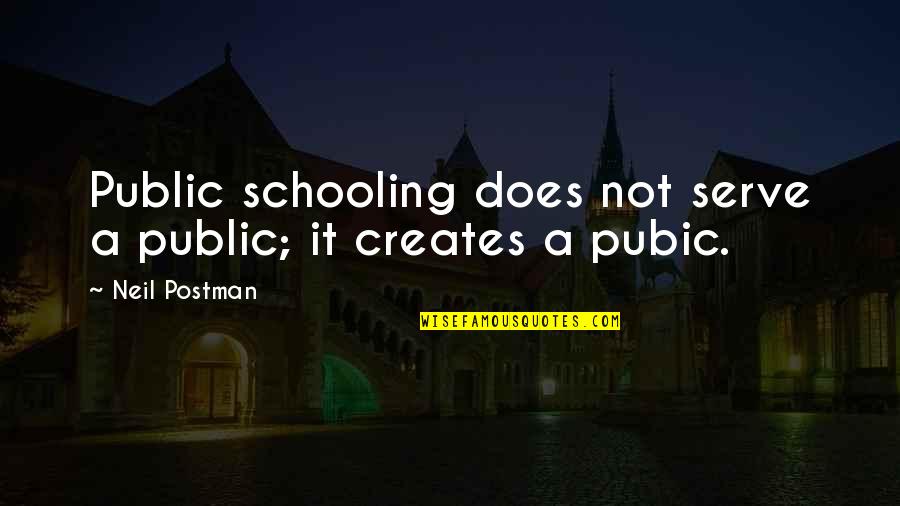 Funny Tough Guy Quotes By Neil Postman: Public schooling does not serve a public; it