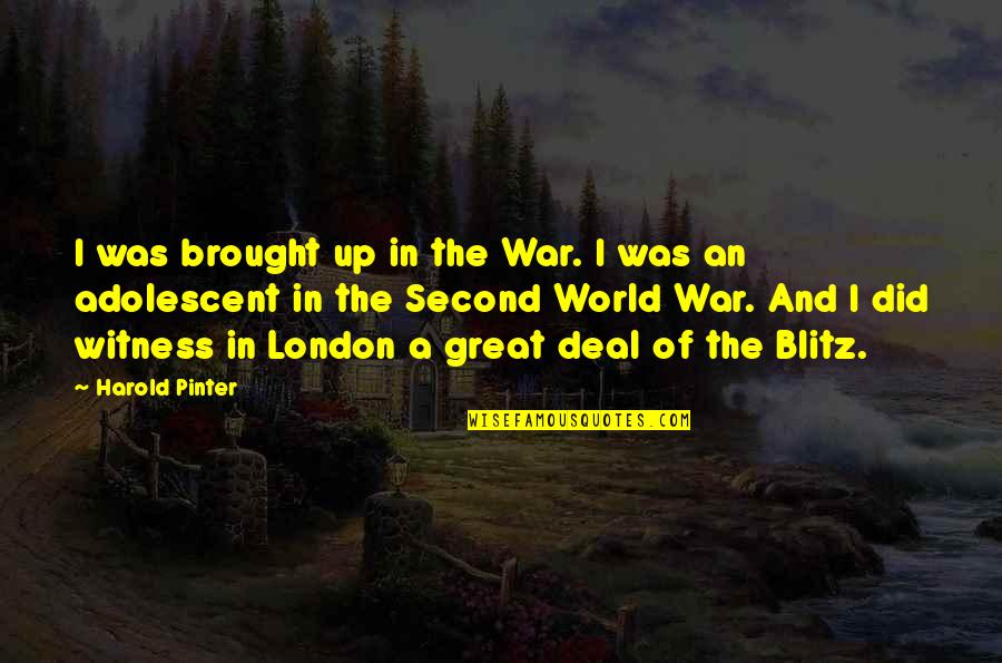 Funny Tree Surgeon Quotes By Harold Pinter: I was brought up in the War. I
